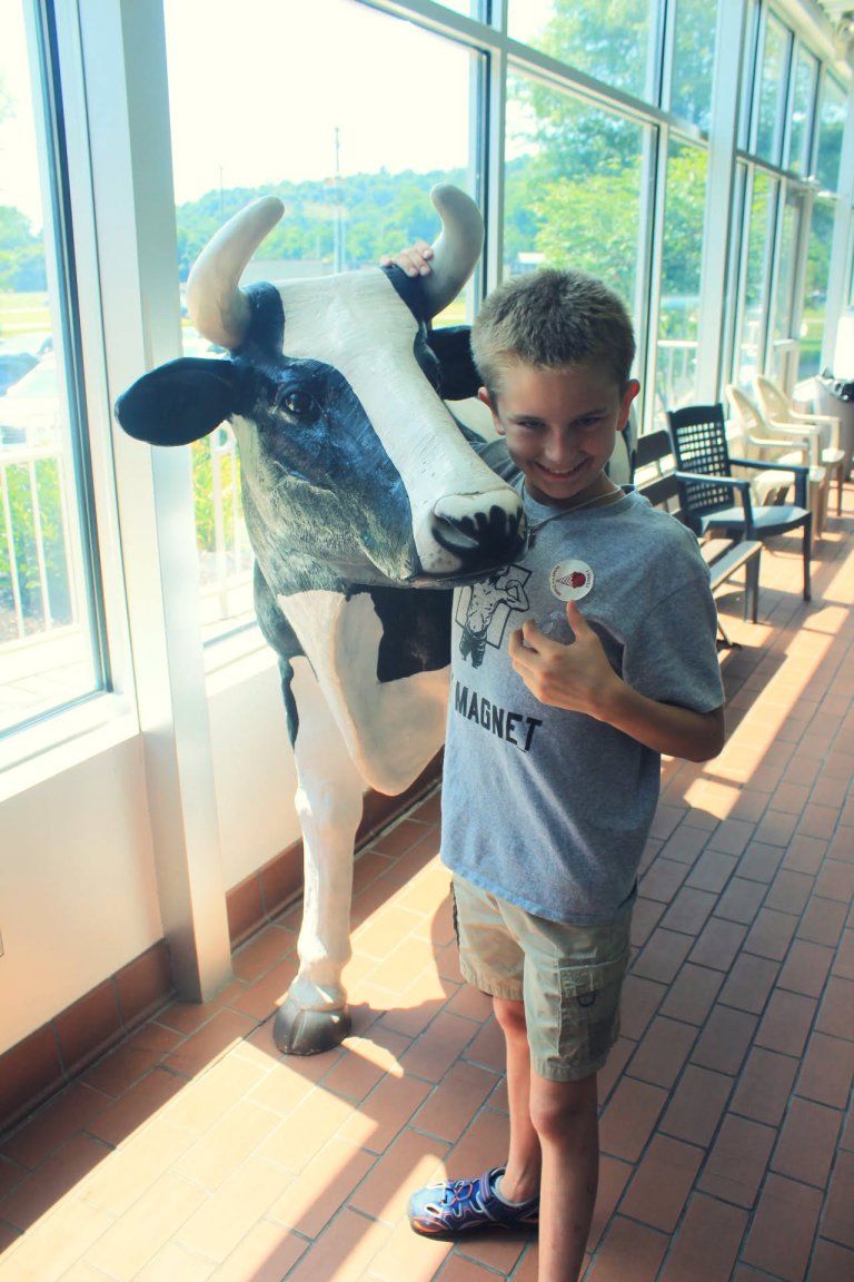A Boy and A Cow